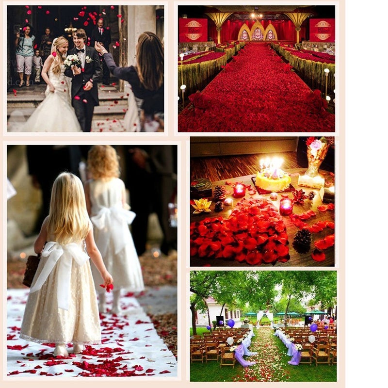 ocharzy 1000pcs Rose Petals Artificial Silk Flower Rose Petals for Wedding Decorations, Romantic Night, Valentine's Day, Parties, Events - Image 3